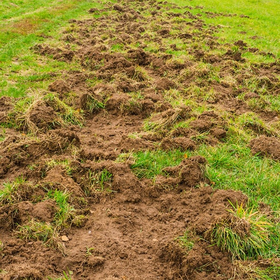 Niwelowanie / równanie terenu