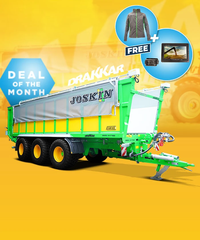 Das Dezember-Angebot