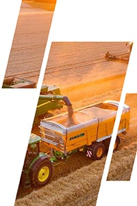 Finalización de su inscripción