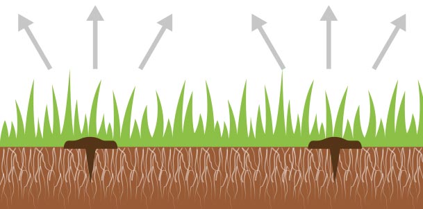 Injecteur à patins tranchants