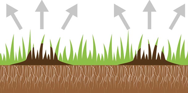 Rampe à pendillards