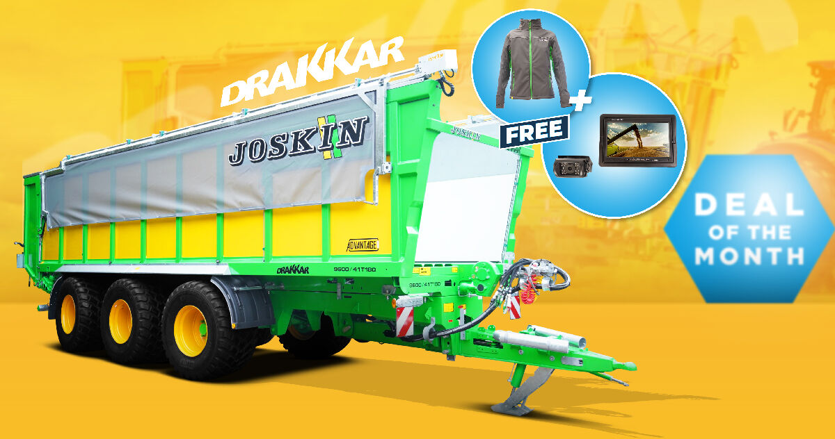 Das Dezember-Angebot