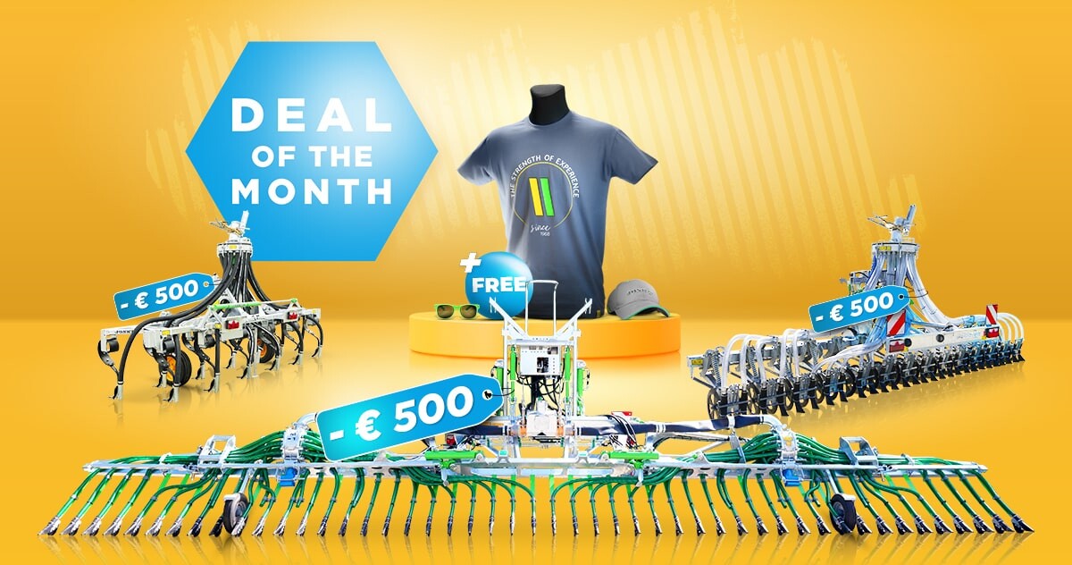 June Special Offer
