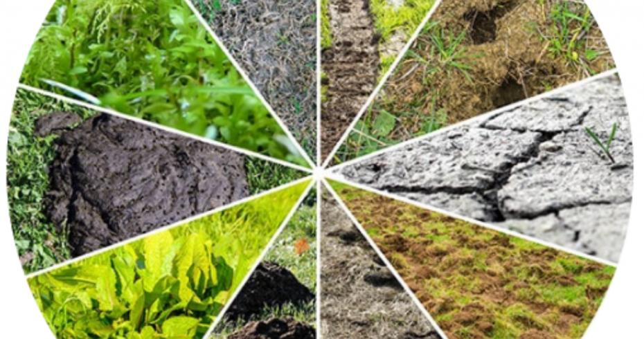 Руководство по покупке