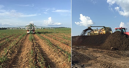 Опыт JOSKIN  в Камеруне