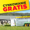 Oferta specjalna „cynkowanie gratis”
