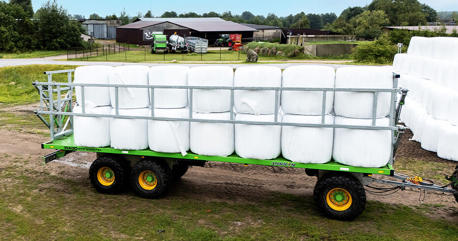 Testimonial – Your Opinion Matters: Dzūkija, Lithuania