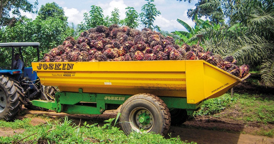 TRANS-PALM: Solidna i niezawodna skrzynia ładunkowa 10 - 16 t
