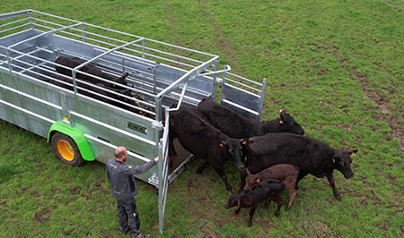 Video's betimax rds 30